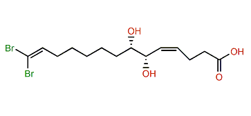 Xestospongiene R